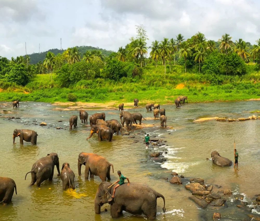Sri Lanka